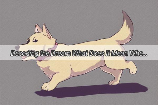 Decoding the Dream What Does It Mean When Your Dogs Fur is Red in Your Visions